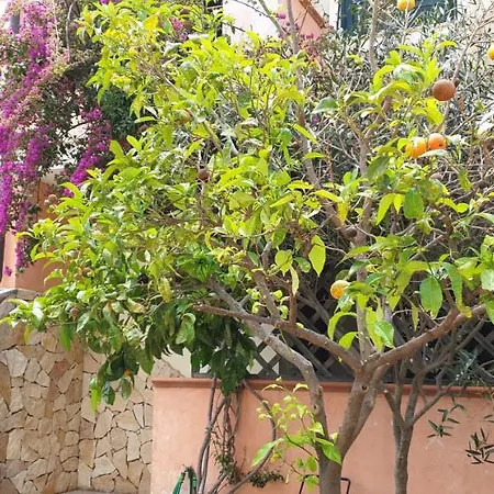 Bouganville Sul Mare Apartment Villasimius